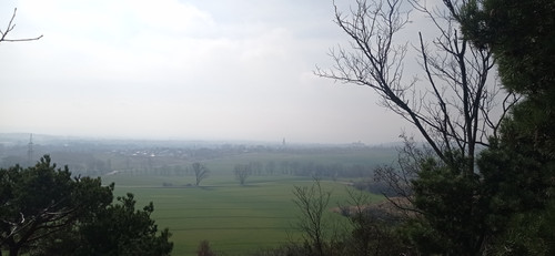 IMG 20240303 121649