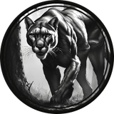 mandibula de cadaver