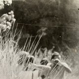 IMG 0659