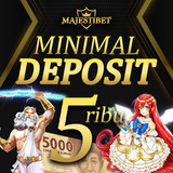 Maje 500x500 3.jpg