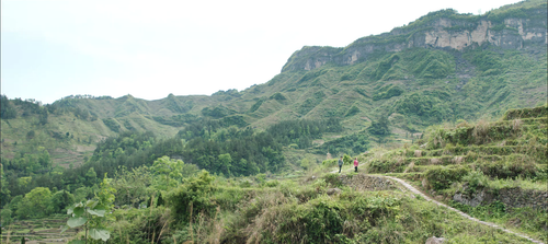 Premarital.Examination.2020.1080p.WEB DL.AAC.H264 MISS.mkv 20240306 173330.965.png