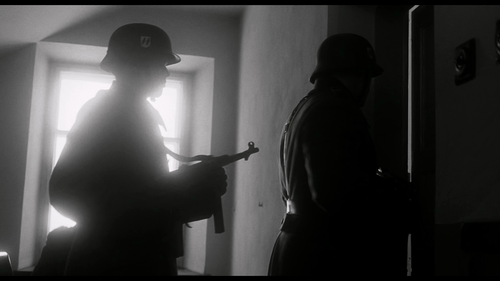 Top007.辛德勒的名单.Schindler's.List.1993.Bluray.1080p.x265.AAC(5.1).2Audios.GREENOTEA.mkv 20240306 171640.png