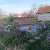 IMG 20240306 095635