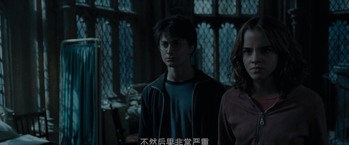 3.Harry.Potter.and.the.Prisoner.of.Azkaban.2004.UHD.BluRay.2160p.DTS X.7.1.HDR.x265.10bit CHD.mkv 20.jpg