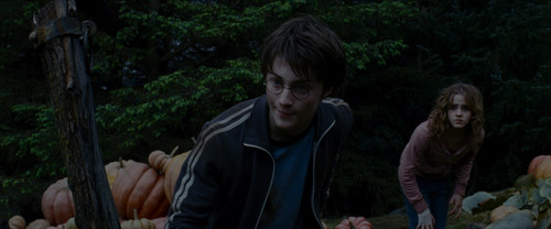 3.Harry.Potter.and.the.Prisoner.of.Azkaban.2004.UHD.BluRay.2160p.DTS X.7.1.HDR.x265.10bit CHD.mkv 20.jpg