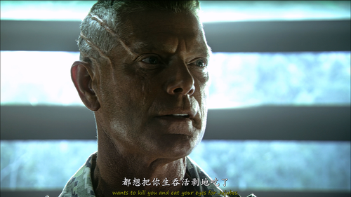 [阿凡达(国英双语)].Avatar.2009.Extended.UHD.Re Grade.4000nit.2160p.HEVC.HDR.IVA(RUS.UKR.ENG).ExKinoRay&CMCT.png