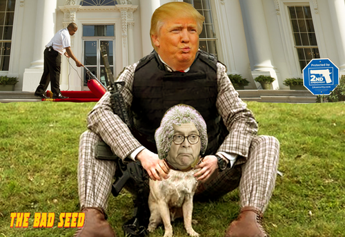trump barr.png
