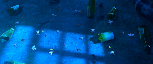 You.Don't.Mess.with.Little.Bugs.2019.2160p.WEB DL(3).png