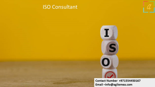 ISO Consultant 4.jpg