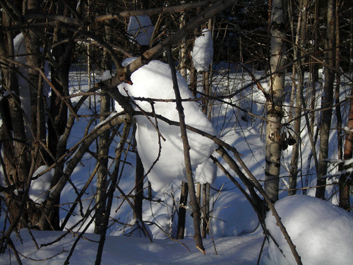 DSCN2210 1.jpg