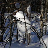 DSCN2210 1