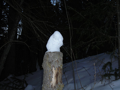 DSCN2214 1.jpg