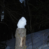 DSCN2214 1
