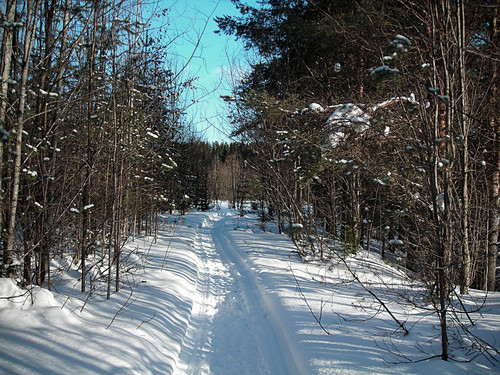 DSCN2202 1.jpg