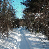 DSCN2202 1