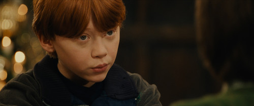 1.Harry.Potter.and.the.Sorcerer's.Stone.2001.UHD.BluRay.2160p.DTS X.7.1.HDR.x265.10bit CHD.mkv 20240.jpg