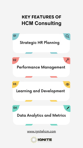 HCM Consulting.jpg
