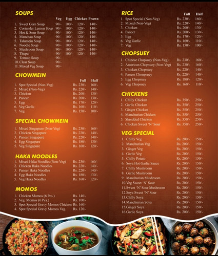 THE SPOT KAROL BAGH MENU