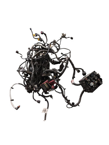 WhatsApp Image 2024 03 07 at 16.12.58 (1).jpg