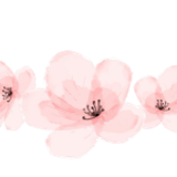 Untitled design (20)