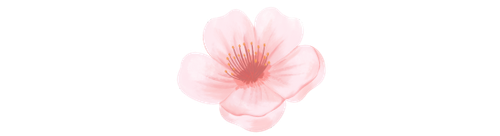 Untitled design (22).png