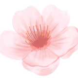 Untitled design (22)