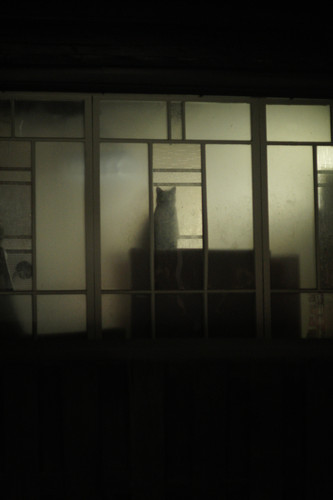 A7C03026.jpg