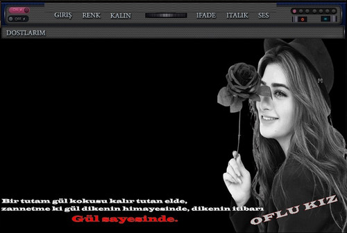 gul.jpg