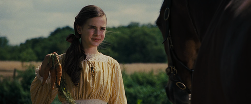 War.Horse.2011.BluRay.1080p.x265.10bit.2Audio.MNHD FRDS.mkv 20240306 113822.800.png