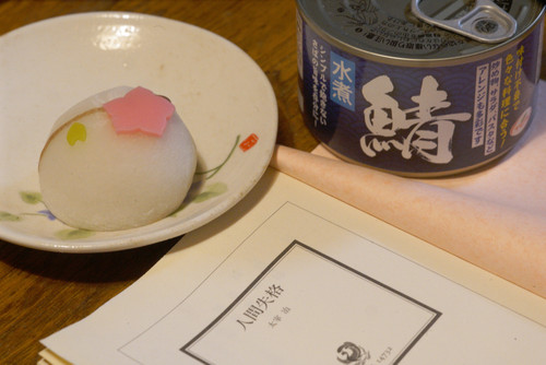 A7R01680.jpg