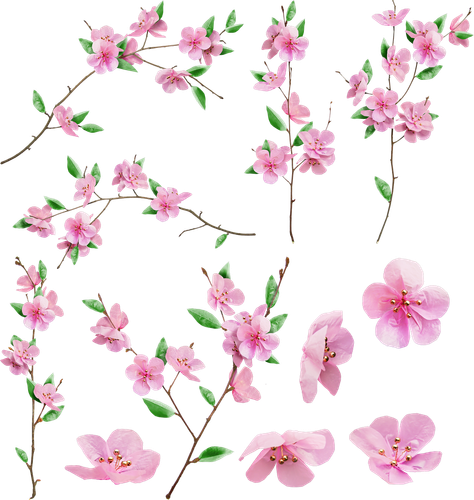 vishjabl011 1.png