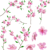 vishjabl011 1