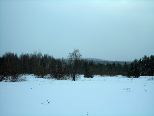 DSCN2181 1.jpg