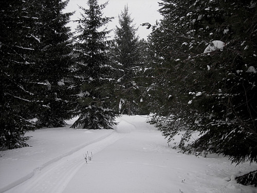 DSCN2184 1.jpg