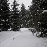DSCN2184 1