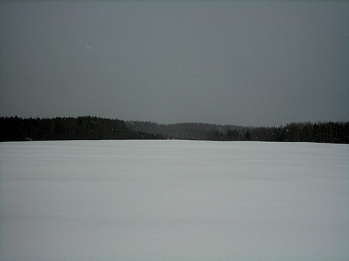 DSCN2190 1.jpg