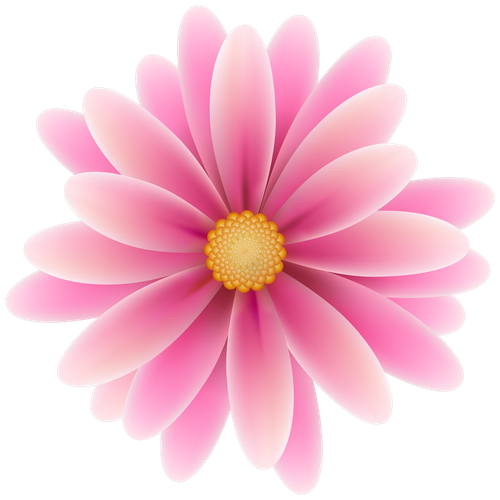 pngwing.com (74).png