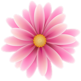 pngwing.com (74)