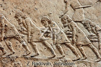 e1de17509a49259515d42e27493773db.jpg