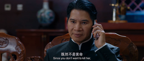 Golden.Triangle.Rescue.2018.1080p.WEB DL.AAC.H264 MISS.mkv 20240313 124921.244.png