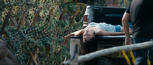 Golden.Triangle.Rescue.2018.1080p.WEB DL.AAC.H264 MISS.mkv 20240313 124911.317.png