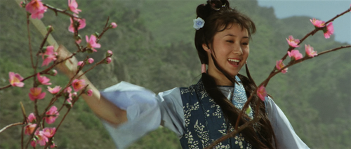 少林寺.The.Shaolin.Temple.1982.JPN.Remastered.BDRip.1080p.x265.10bit.DTS DGB.mkv 20240309 155423.318.png