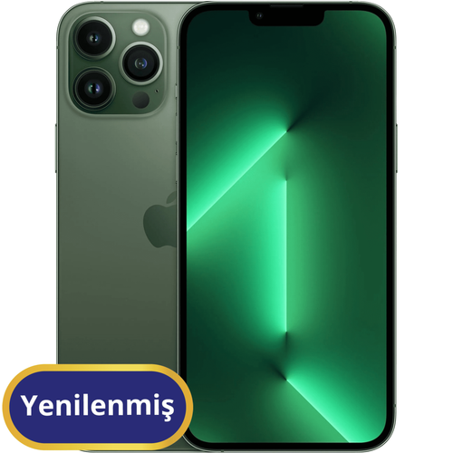 13proyesil.png