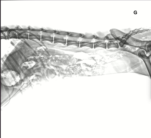 Capture d’écran 2024 03 13 à 21.08.52.png
