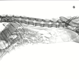 Capture d’écran 2024 03 13 à 21.08.52