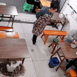 大变活猫.gif