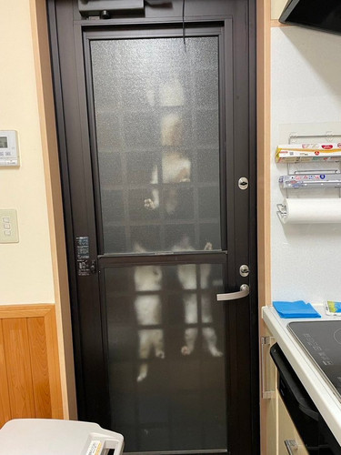 怪盗猫眼三姐妹试图侵入家中.jpg