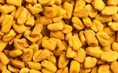 Fenugreek Seeds.jpg