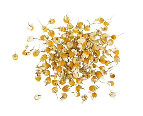 chamomile.png
