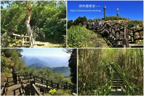 00018 二延平步道漫步竹林間.webp